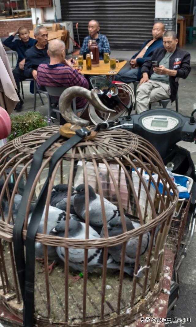 成都双流：彭镇