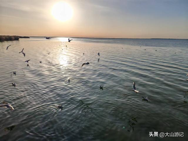 2025国庆西北自驾游（4）：居延海观日出和策克口岸探秘