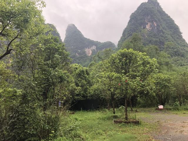 人到中年	，最怕的不是失败，是忽然看清自己