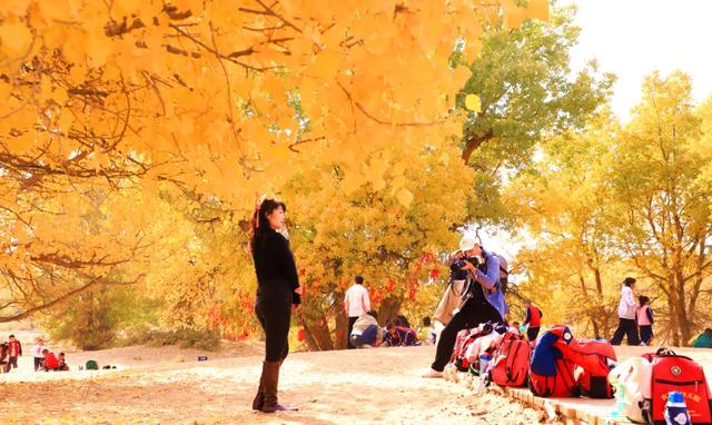 高台:九头胡杨迎来最佳观赏期