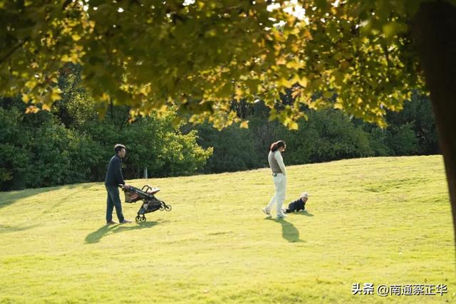 如东的秋天，都藏在这里了→