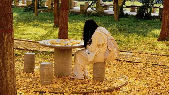 满目金黄，来杨凌赴一场“鎏金之约”！