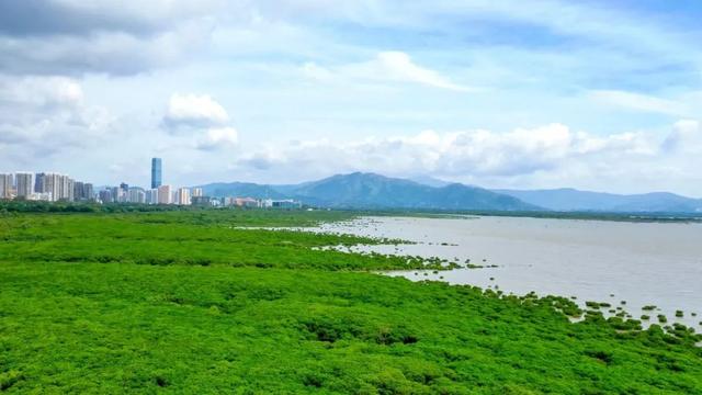 深圳经济特区，45岁生日快乐！