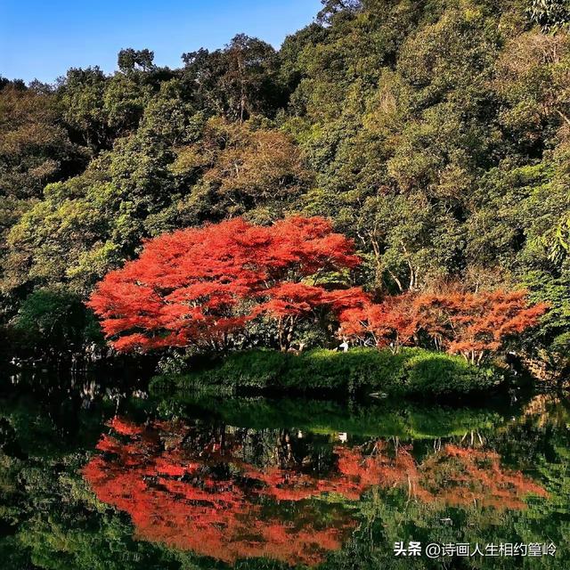 旅行就像是在开“盲盒”，随时有惊喜，你觉得呢？