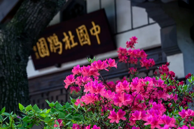 无锡这座绝美花园，免费开放了