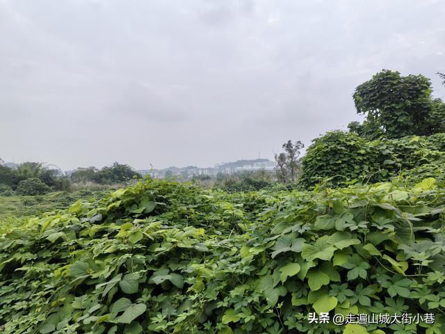 王家庄—轨道10号线一个被很多人忽略的小站！