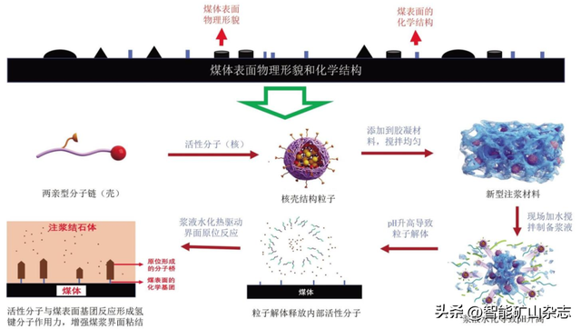 中国煤科10大创新成果┃杨建威副研究员：深埋松软大变形巷道高压锚注主动防控成套技术及工程实践