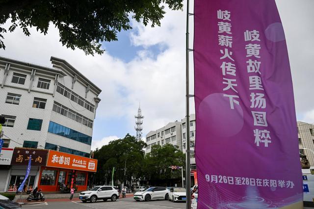 2025甘肃·庆阳岐黄文化论坛积极筹备氛围浓郁