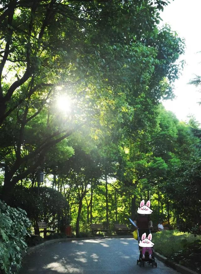 上海解锁“千园之城”,遛娃拍照吸氧圣地,哪个是你最爱?