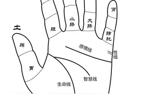 手指上的长寿功，可以疏通6条经络，身体越来越轻松图片
