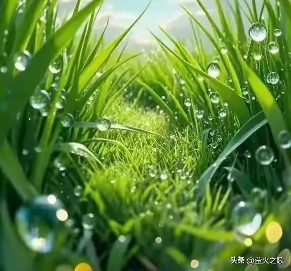 两性关系：50岁后夫妻必看，这4件事不注意，晚年可能吃大亏！