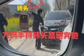 闹大了！河南一大姐因为蒜苗被压怒砸奔驰车后续：车主定损37000图片