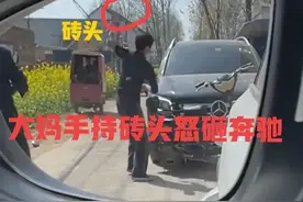 闹大了！河南一大姐因为蒜苗被压怒砸奔驰车后续：车主定损37000图片