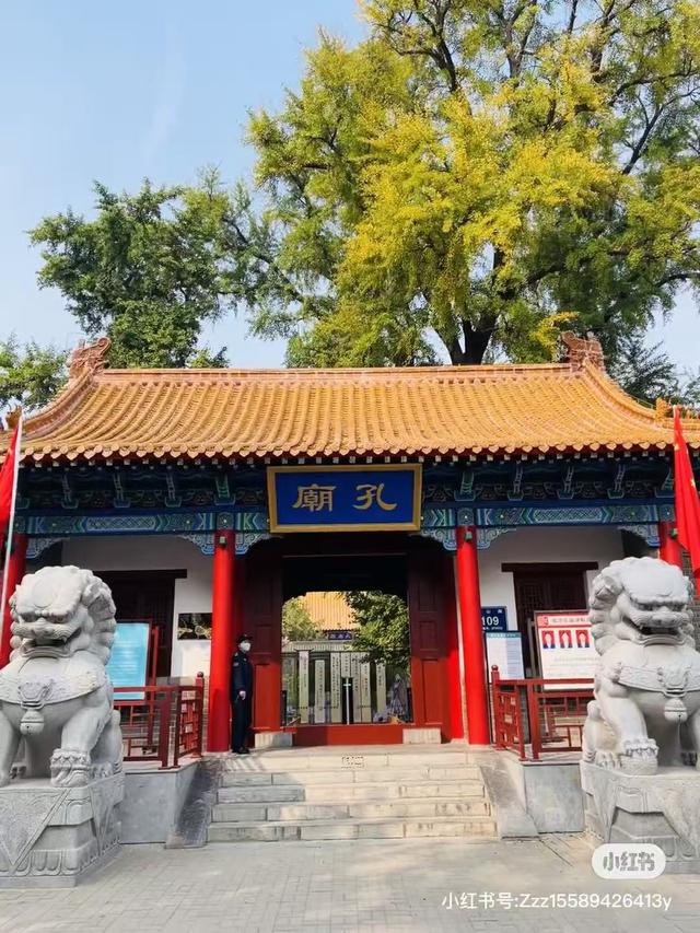 重阳节，在临沂这样过——9.9元景区特惠、赏菊、登高、祈福……
