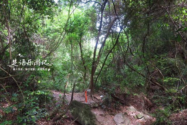 浙江宁波的绝秘幽谷，山石险峻景色绝美，是徒步与观景的绝佳之地