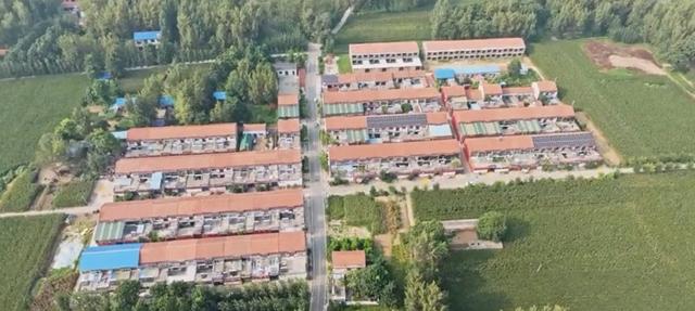 魅力曹县楼庄镇