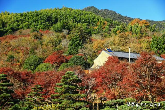 真是醉了，徒步奉化东西岙徐凫岩看悬崖飞瀑堵人竟然堵到怀疑人生