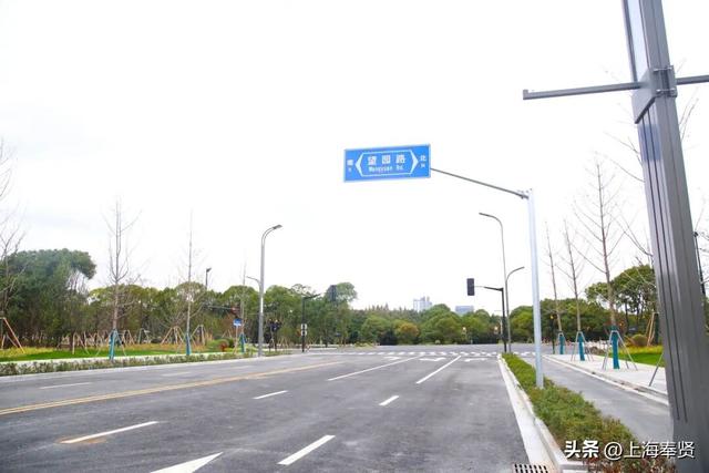 为什么金海的路大多都叫X园路、X丰路？