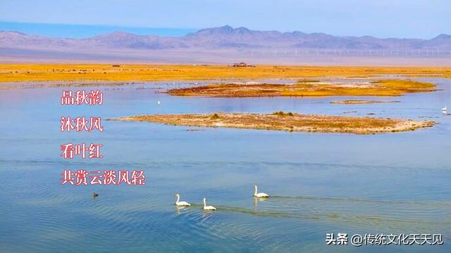 国庆长假最后一天中雨，闲坐家中品唐诗过寒露