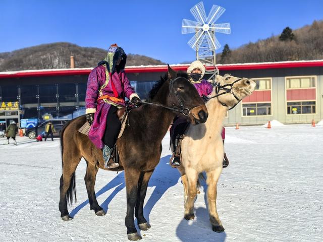 冲鸭！哈尔滨帽儿山滑雪+雪地撸驼骑马全攻略