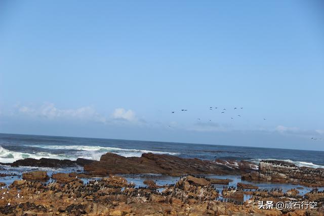 南部非洲：南非好旺角