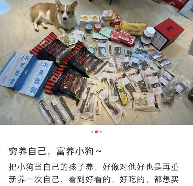 2025年十大网红风口，让年轻人花爽了