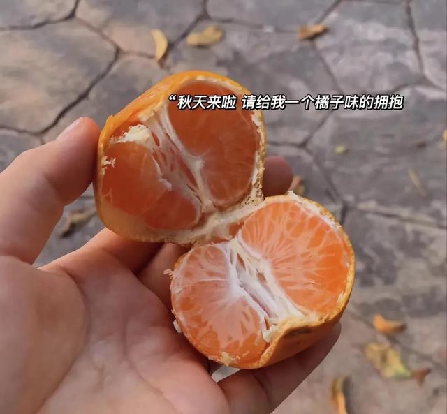 凉风有约，石泉喊你来赏秋~