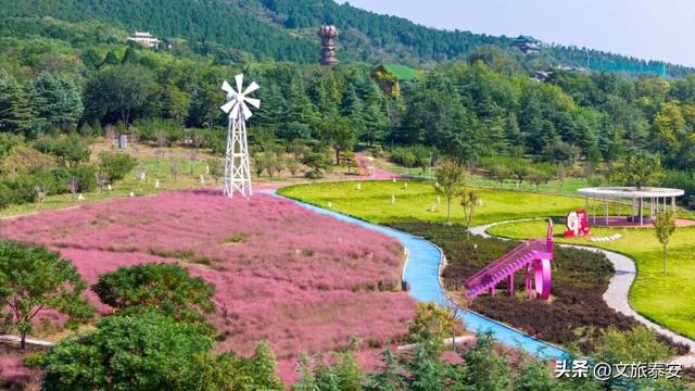 解锁「美拉德」色系！东平的秋天是懂氛围感的，朋友圈晒这些图绝对赢麻！