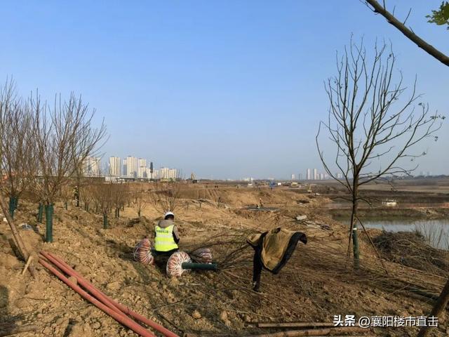 即将开放！盼了N年的连山湖公园，这回真稳了！