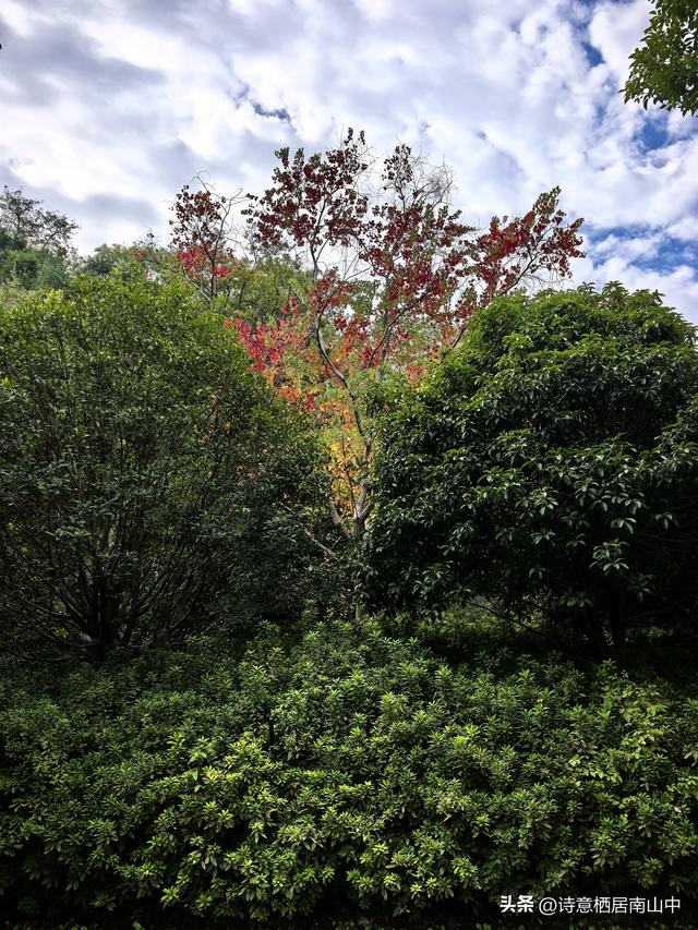 环长江(内环)骑行观光的路线与趣味:一江秋光连天际，满城烟火…