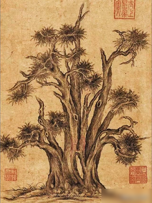 河南发现一棵树，跟乾隆古画一模一样，太神奇了