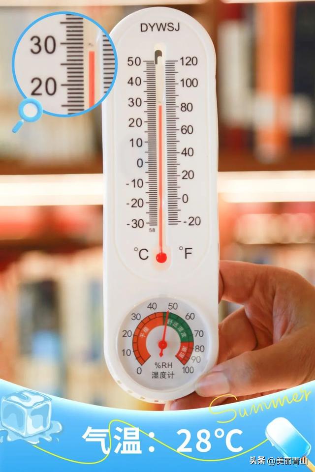 平均28℃以下！青山这里免费又凉快