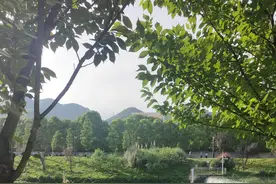 混合痔加高位肛瘘手术第37天，按医嘱，今天起不需要再抹膏药了图片