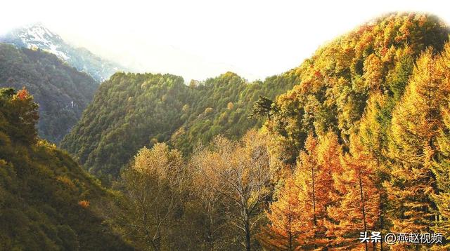 石家庄周边赏红叶地图来了 登高赏秋看红叶 层林尽染绘彩卷