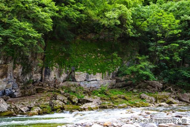 转给那个总说“没时间去远方”的朋友：你看，诗与远方，其实就在2小时车程外