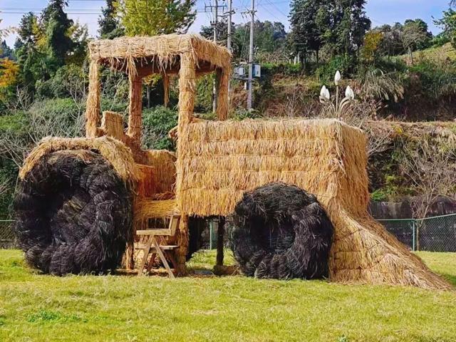 定了！木兰花谷1月17日起全城免费送票啦~