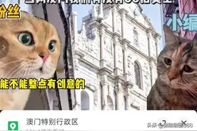 尴尬的来了，欢迎澳门加入文旅尴尬局，全球评论区好欢乐，能笑疯图片