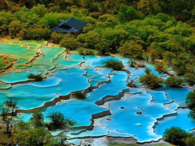 “四大主题之夜+花车巡游”，阿坝州即将把整个秋天“搬”到上海！