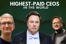 2025年世界十大高薪CEO，首富马斯克235亿美元，遥遥领先图片