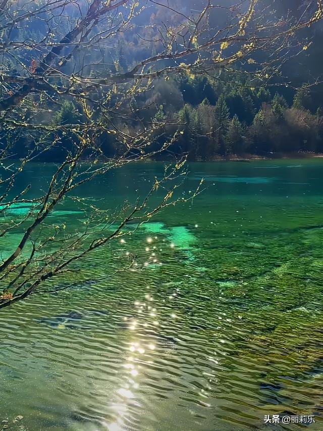 我在九寨沟踩了一脚“碎钻”，才懂日子里的光根本藏不住