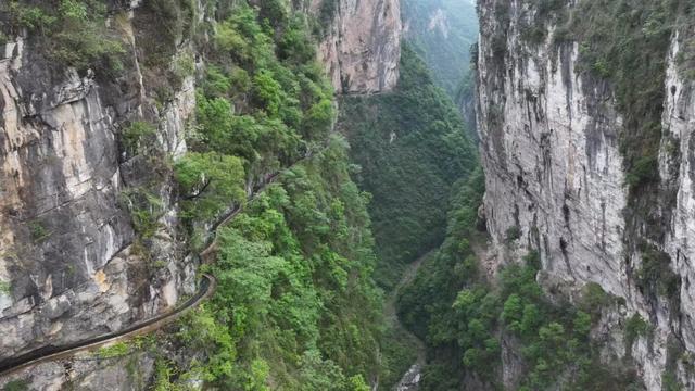 从“山水有颜值”到“生态有价值”——重庆市武隆区践行“两山”理念,绘就生态富民新图景