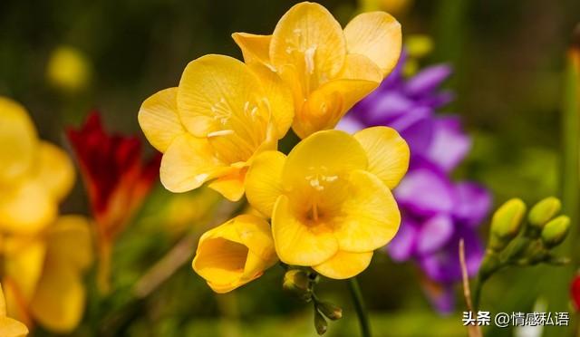 两性关系：男人要知道，女人无论多大年龄，都喜欢身边有个人陪着