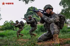 高清大图 | 带你感受“热辣滚烫”的迷彩青春图片