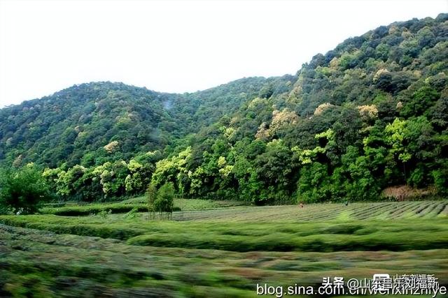 杭州324路公交车沿途风光（皖浙沪旅游122）