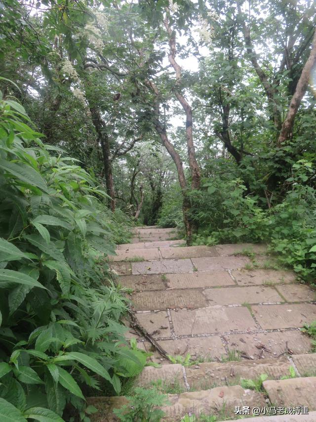 绵阳千佛山爬山笔记