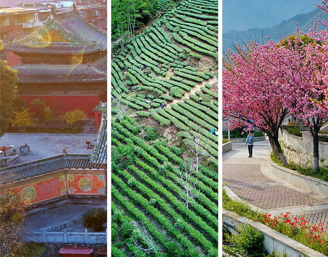 青睐绵阳 || 这个春天，来平武赴一场Color Walk