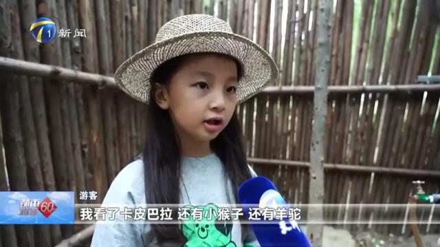 秋高气爽！北辰风光正好！