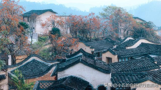 宁德屏南赏柿攻略！福州 2h 直达，3 个古村一日游，满村红柿超治愈