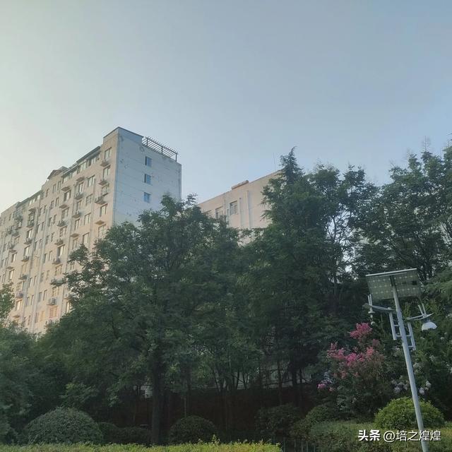 这是哪里？悄悄，悄悄