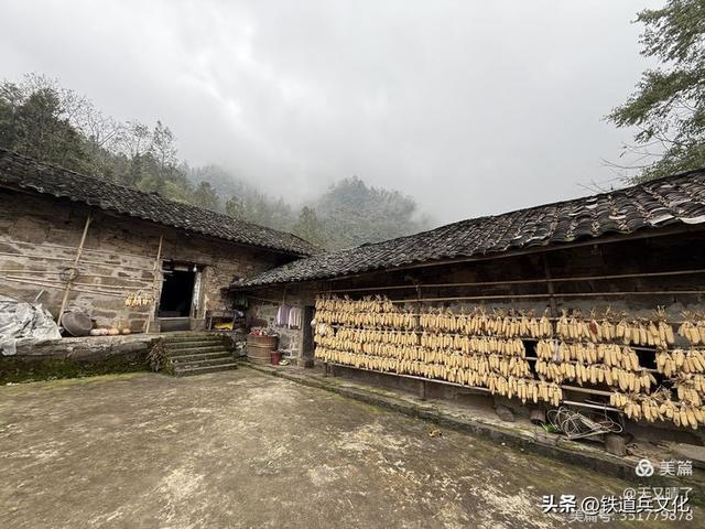 龚清||一缕云雾系乡愁